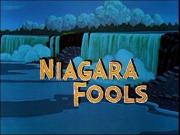 Niagara Fools