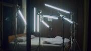 Night Colonies