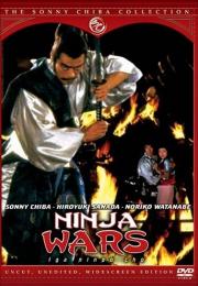 Ninja Wars