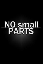 No Small Parts