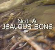 Not a Jealous Bone