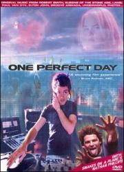 One Perfect Day