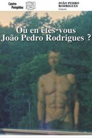 Où en êtes-vous, João Pedro Rodrigues?