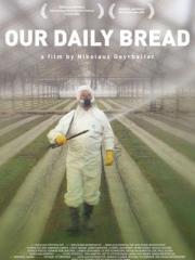 Our Daily Bread