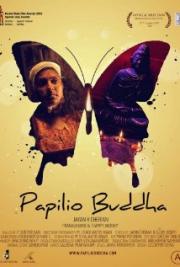 Papilio Buddha