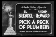 Pick a Peck of Plumbers