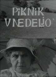 Piknik v nedeljo