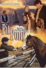 Pit Pony