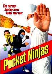 Pocket Ninjas