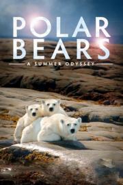 Polar Bears: A Summer Odyssey