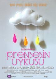 Prensesin uykusu