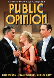 Public Opinion