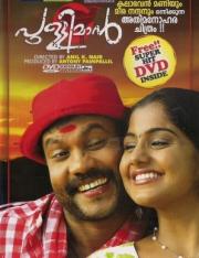 Pullimaan