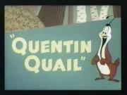 Quentin Quail