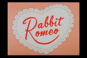 Rabbit Romeo