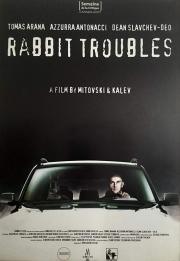 Rabbit troubles