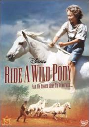 Ride a Wild Pony