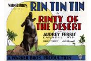 Rinty of the Desert