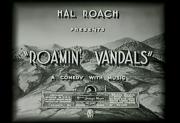 Roamin\