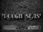 Rough Seas