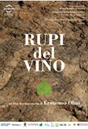 Rupi del Vino