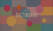 Saltimbank