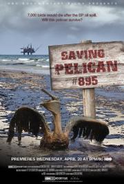 Saving Pelican 895