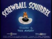 Screwball Squirrel