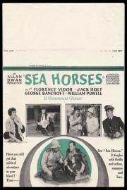 Sea Horses