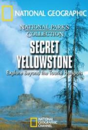 Secret Yellowstone
