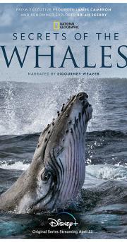 Secrets of the Whales