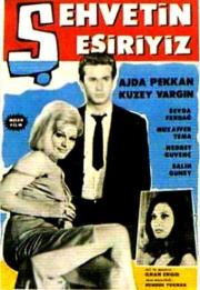 Sehvetin Esiriyiz