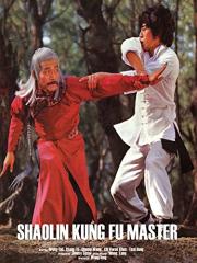 Shaolin Kung Fu Master