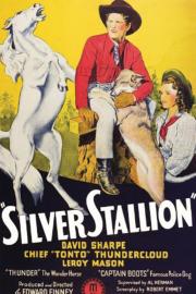 Silver Stallion