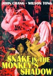 Snake in the Monkey\