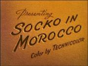 Socko in Morocco