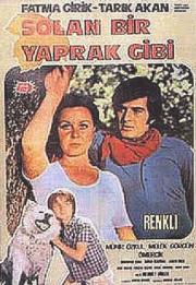 Solan Bir Yaprak Gibi