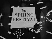 Spring Festival