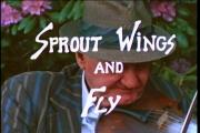 Sprout Wings and Fly