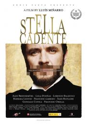 Stella cadente