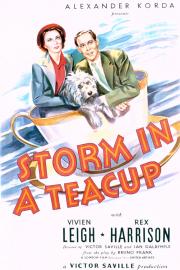 Storm in a Teacup