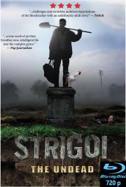 Strigoi