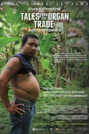 Tales from the Organ Trade