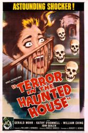 Terror in the Haunted House