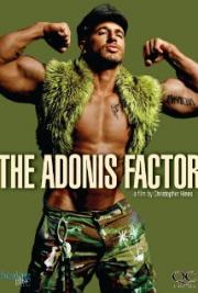 The Adonis Factor