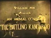The Battling Kangaroo