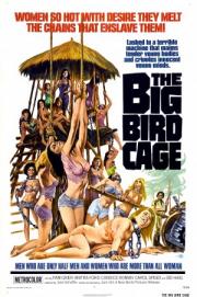 The Big Bird Cage