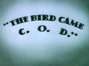 The Bird Came C.O.D.