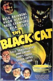 The Black Cat