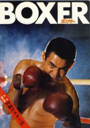 The Boxer